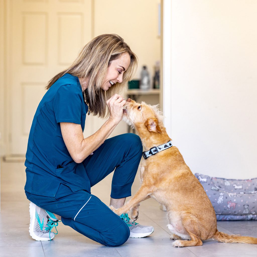 Illustration of a veterinarian with a dog and cat