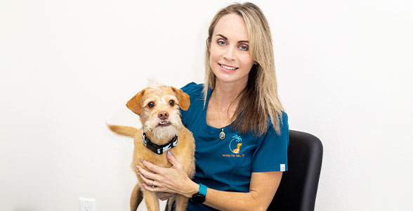 Dr. Bradshaw holding a small terrier mix dog