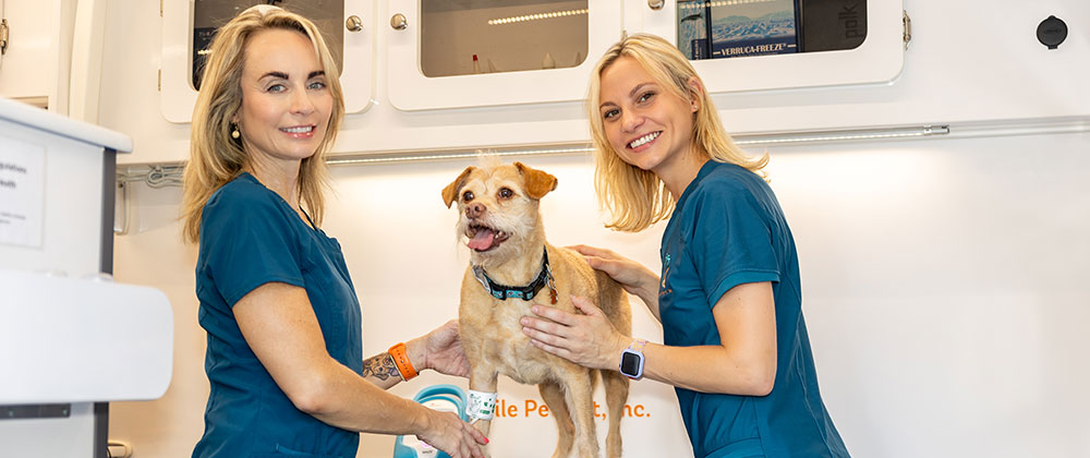 Veterinary team with mobile clinic van